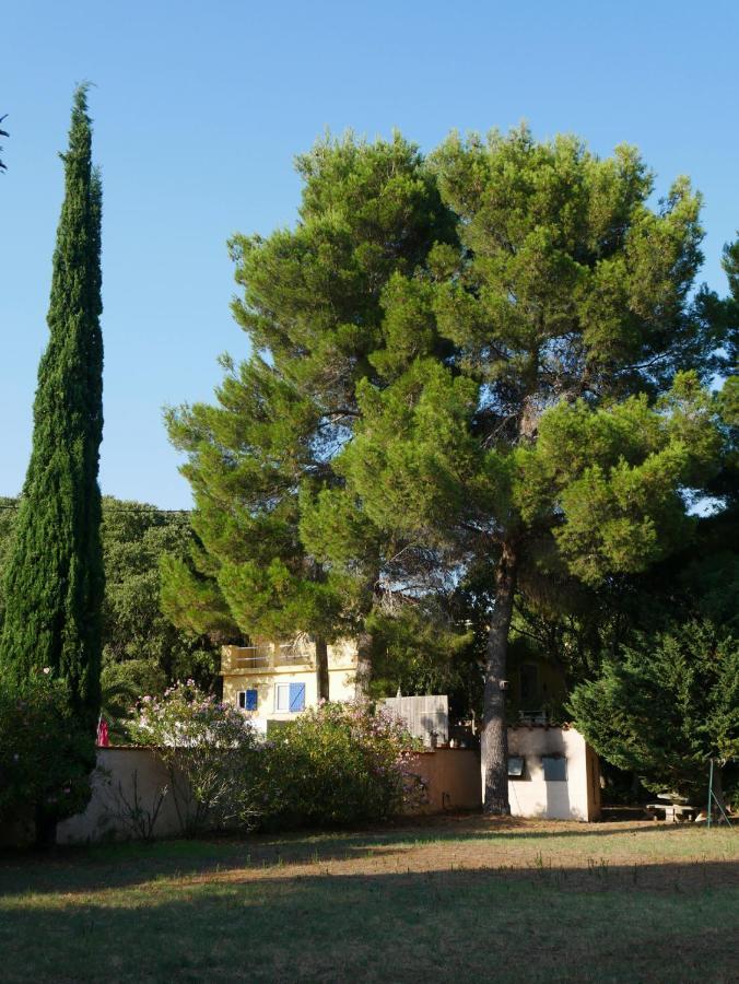 Gites De La Massane 滨海阿热莱斯 外观 照片