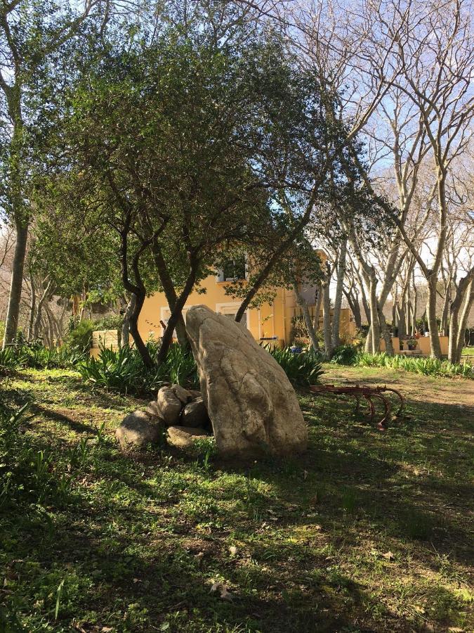 Gites De La Massane 滨海阿热莱斯 外观 照片